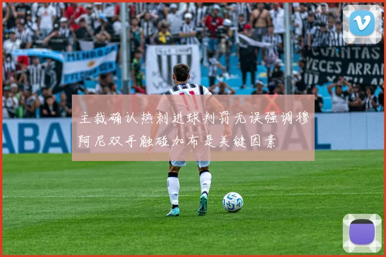主裁确认热刺进球判罚无误强调穆阿尼双手触碰加布是关键因素