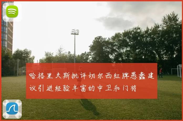 哈格里夫斯批评切尔西红牌愚蠢建议引进经验丰富的中卫和门将