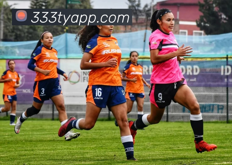 333体育APP品牌故事